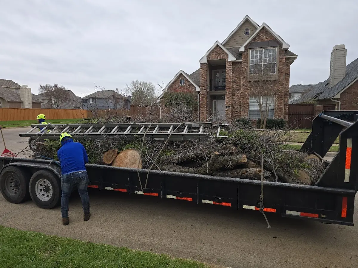 Expert Tree Pest Control with proper safety equipment in Axtell